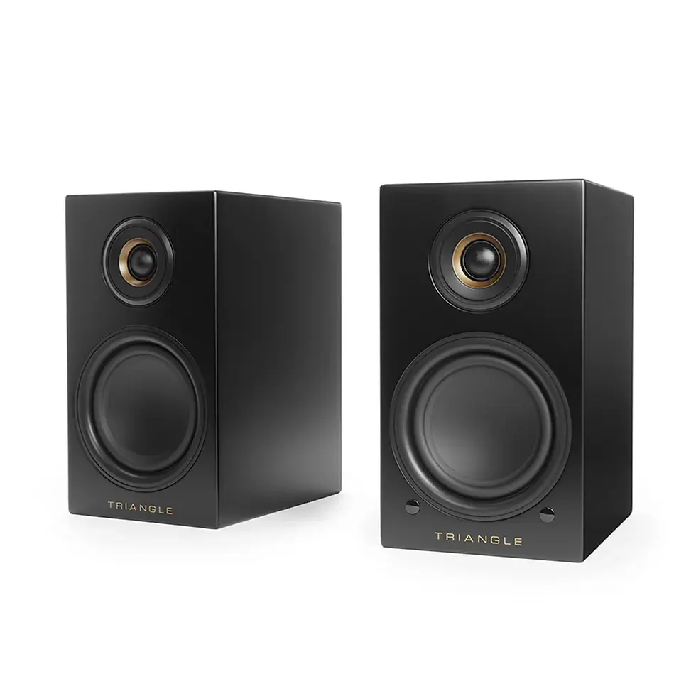 Thumbnail: Enceinte Amplifiée Triangle LN01