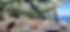20230902_145910.jpeg