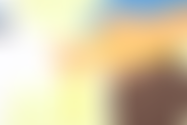 4  Conseils pour perdre de la masse grasse.