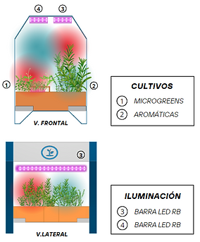 VISTAS ILUMINACION.png