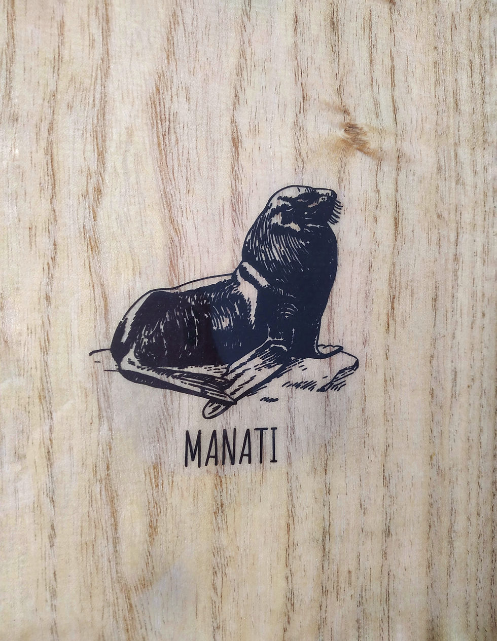 Miniatura: Manati - Mini Simmons
