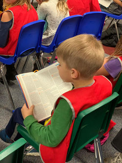 Copy of 74231764_2690657270986431_419740