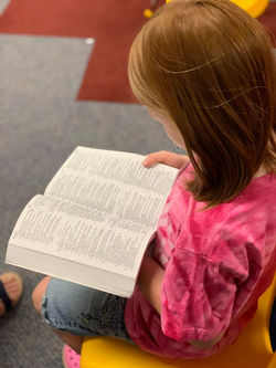 Copy of 71348717_2603293786389447_457215