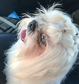 IMG-20180821-WA0011.jpg