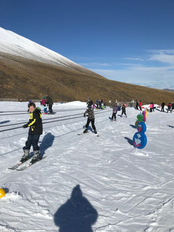 IMG_2255 (1)