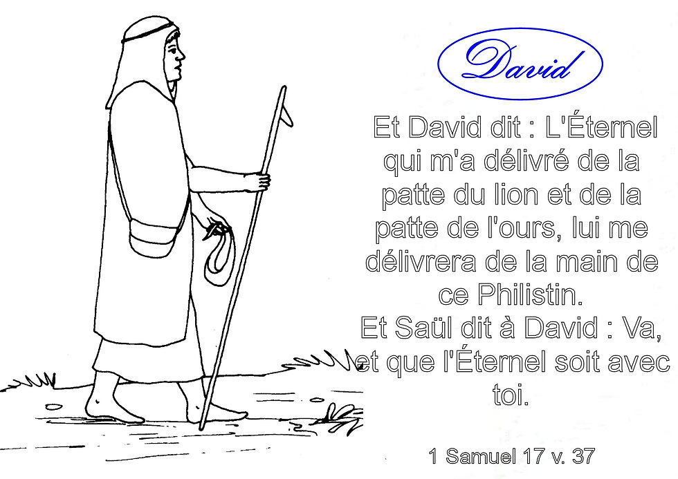 David