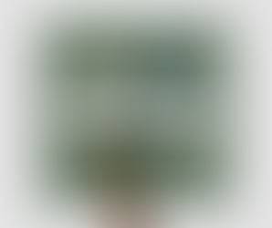 İlamsız İcra Takibi Nedir?