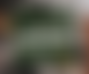 Crimes Against Sexual Immunity