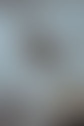 Edinilmiş Mallara Katılma Rejiminin Tasfiyesinde Edinilmiş Mallara Eklenecek Değerler