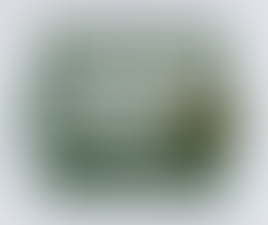 270 Saate Kadar Yapılan Fazla Çalışmalar ve Bu Çalışmaların Ücretin İçinde Olduğunun Kararlaştırılması