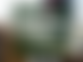 Yürütmenin Durdurulması Kararı