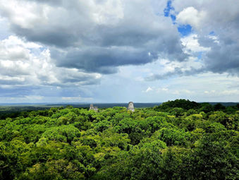 Km 37163_Tikal