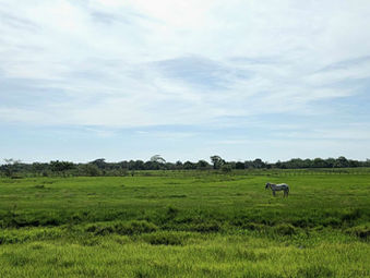 Km 35340 - Km 35552_Palenque - Ciudad del Carmen