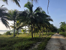 Km 36855 - Km 37041_Orange Walk Town – Belmopan