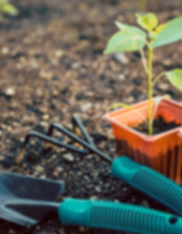 Gardening