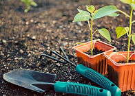 Gardening