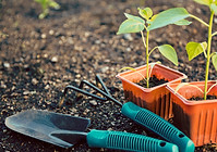 Gardening
