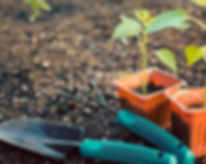 Gardening