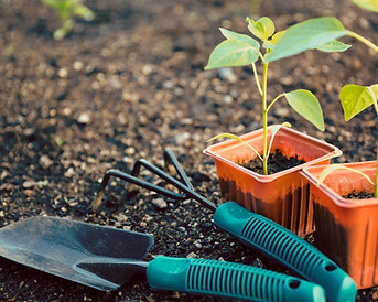 Gardening