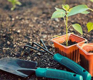 Gardening tools representing tools for calm classrooms