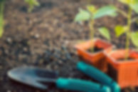 jardinería