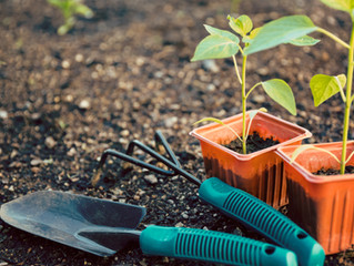 Green Thumbs and Growing Hearts