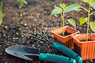 jardinería