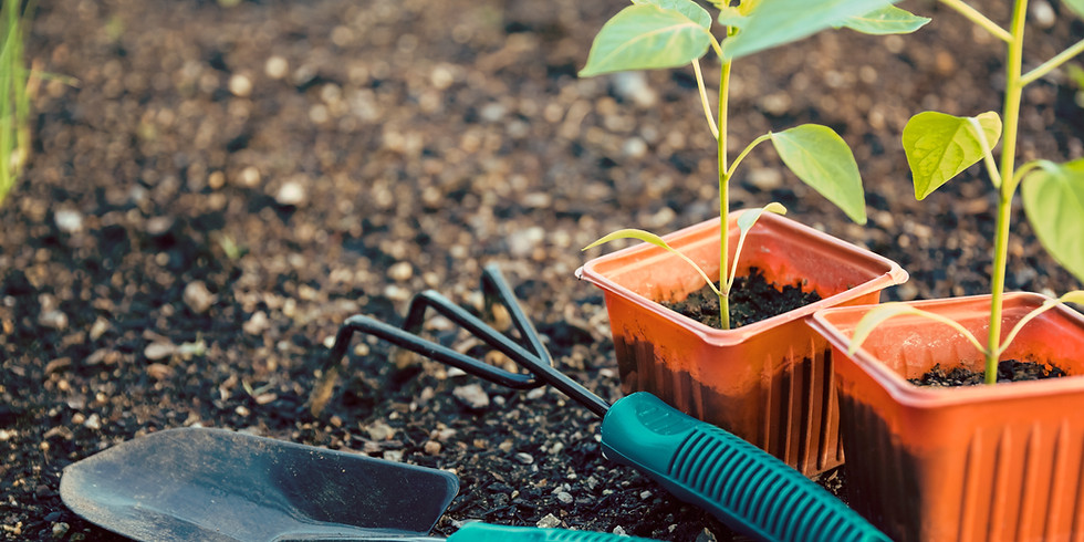 Caring for Our Piece of the Earth (1)