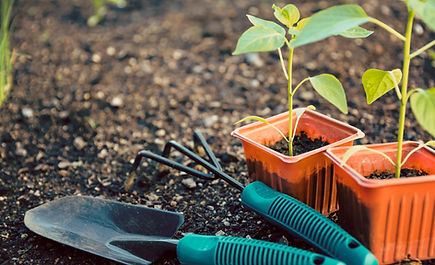 Gardening