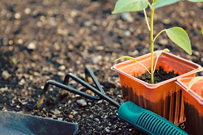 Gardening