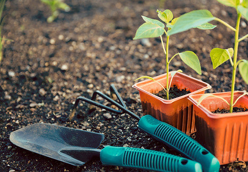 Gartenarbeit