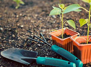 Gardening