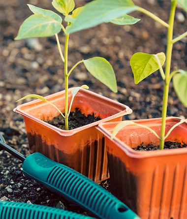 Gardening