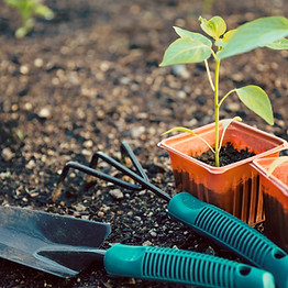Gardening