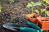 Gardening
