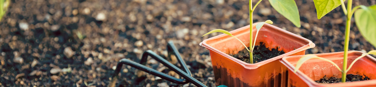 Gardening