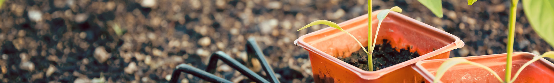 Gardening