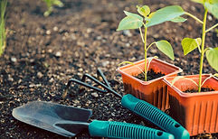 Gardening