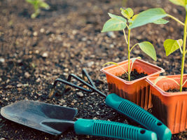 Leading with Purpose: How Servant Leadership Inspires Real Transformation
