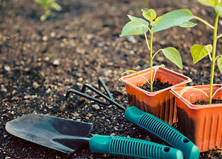 Gardening