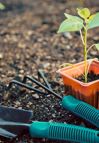Gartenarbeit