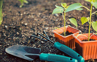 Gardening