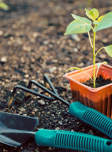 Gardening