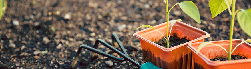 Gardening