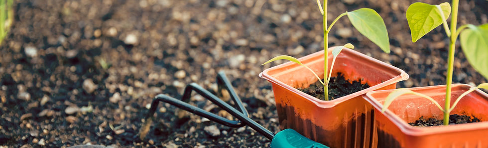 Gardening