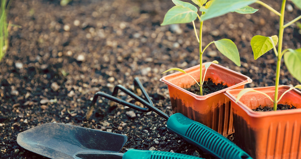 Gardening