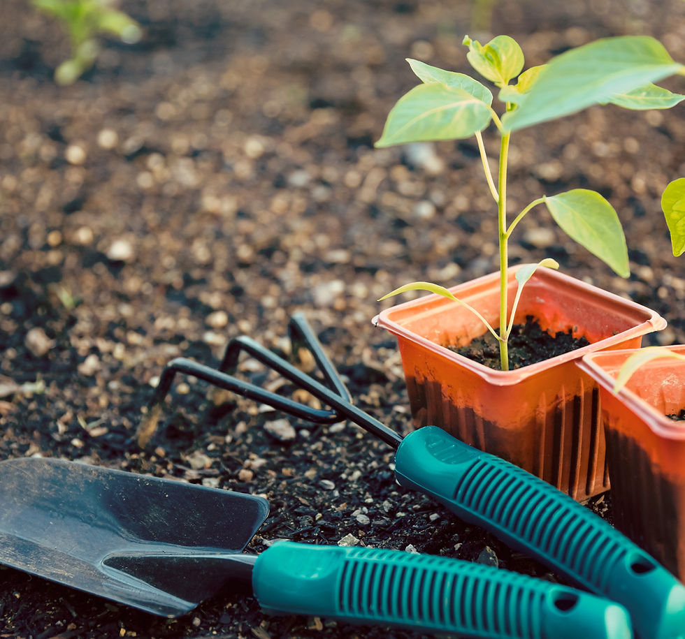 Gardening