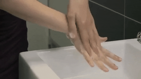 lavado 1.gif