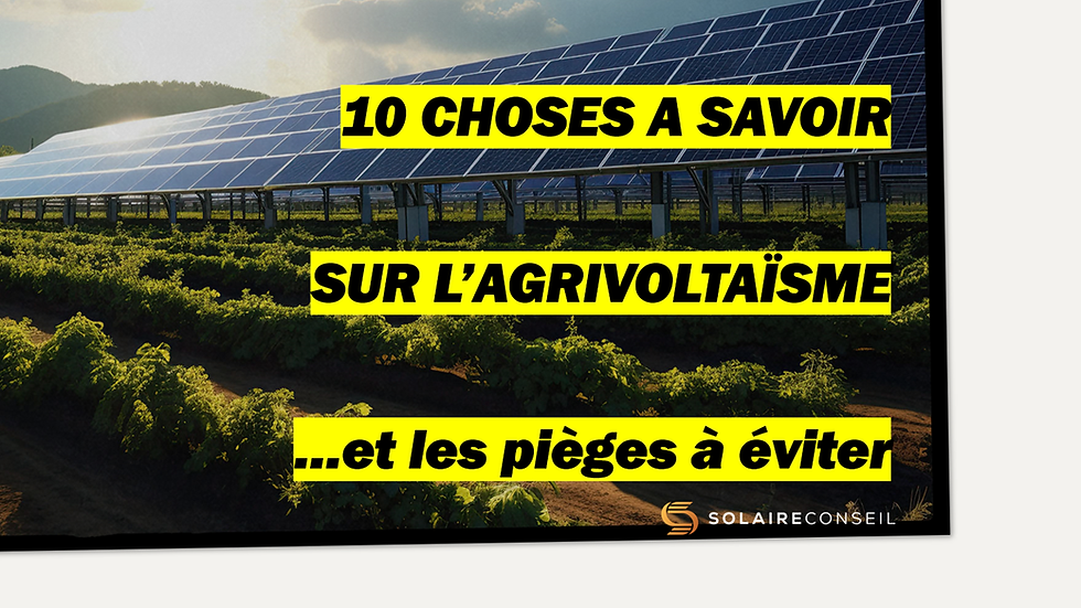 Agrivoltaïsme : le guide du photovoltaïque sur terres agricoles