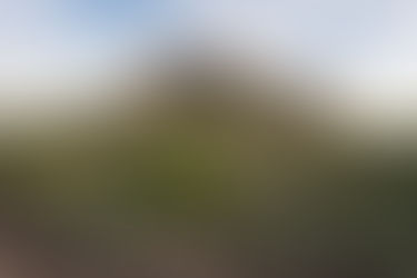 Arizona Desert – Lost Dutchman State Park and the Superstition Mountains